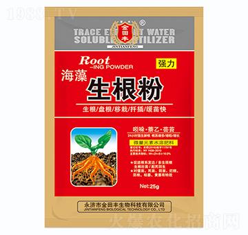 海藻生根粉-金田豐