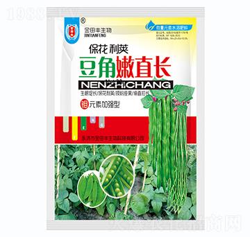 豆角嫩直長(zhǎng)-金田豐