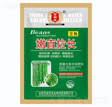 豆角嫩直拉長(zhǎng)-金田豐