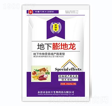 地下膨地龍-金田豐