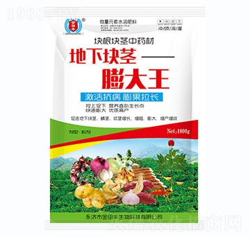 地下塊莖膨大王-金田豐