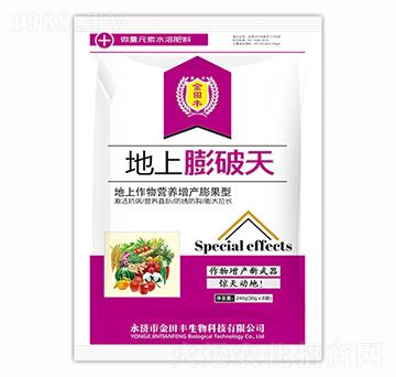 地上膨破天-金田豐