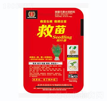 救苗根葉康-金田豐