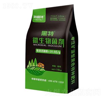 �VԴ�S������΢�������-�ؾS��