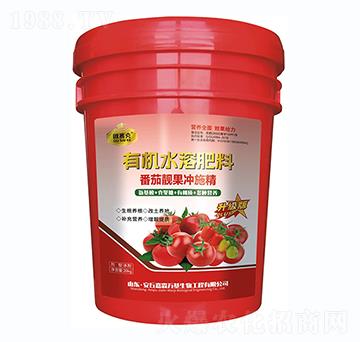 �����n���_ʩ��-�Wِ��-�����f(w��n)��