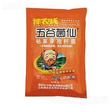 �ݲ�ѿ�ߗU��-��Ⱦ���