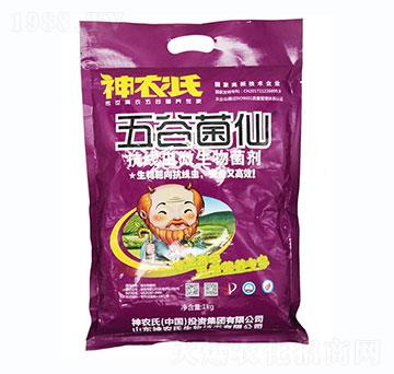 �����x(ch��ng)΢�������-���