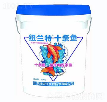 �~�m��+ʮ�l�~-���r(n��ng)��