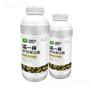 ���ľۺ�ø-��һ��-�����_(d��)�r(n��ng)�I(y��)