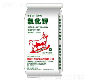 ���w���Ȼ��-�����S