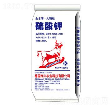 ���w�������-�����S