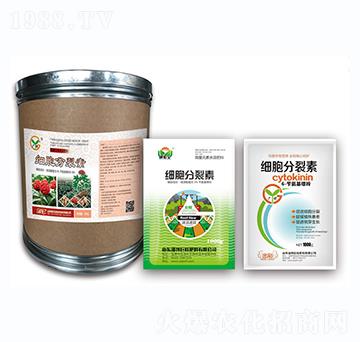 ��(x��)��������-��(zh��n)܇