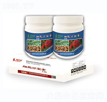 ��(x��)�������ؽM��-��(zh��n)܇