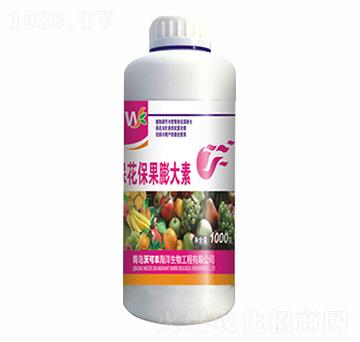 �������������-�ֿ��S