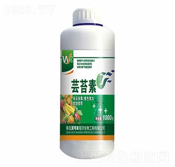 �|̦��-�ֿ��S