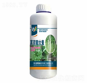 �n�������-�ֿ��S