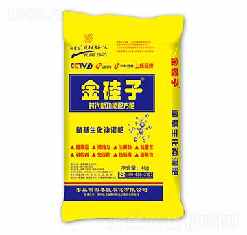 ���������_���-�����-�ļ���