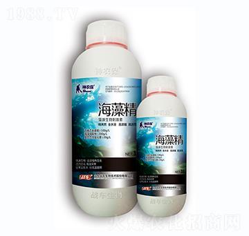 海藻精-戰(zhàn)車(chē)