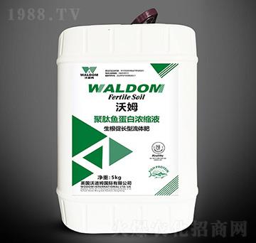 �������L�;����~���ם�sҺ-��ķ-�ֵ�ķ