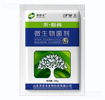 ΢�������-�̷���-�̶��S