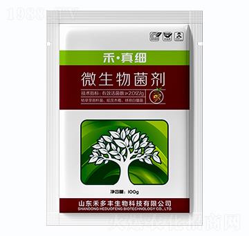 ΢�������-���漚(x��)-�̶��S