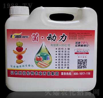 菌動(dòng)力-伯倫特