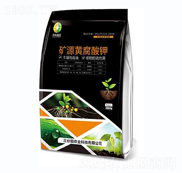 �VԴ�S�����-������