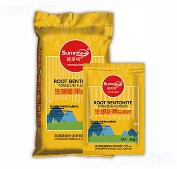 ��������׽��-������