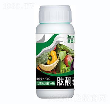 �ѹ������Dɫø-���n��-������