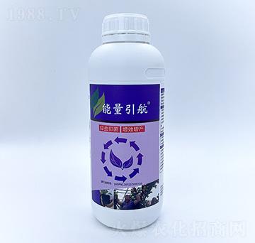 1L能量引航-自然地