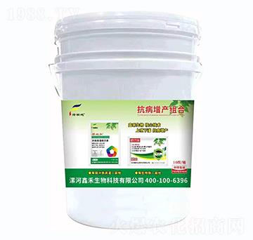 �������a(ch��n)�M��-�G���-