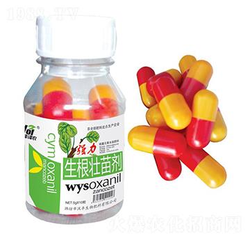 ��(qi��ng)���������焩-���S��