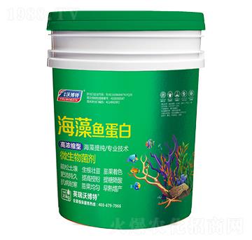 �����~���ף�ͨ���ͣ�-Ӣ���ֲ���