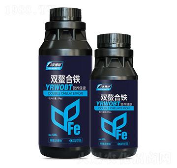 �p�����F-Ӣ���ֲ���