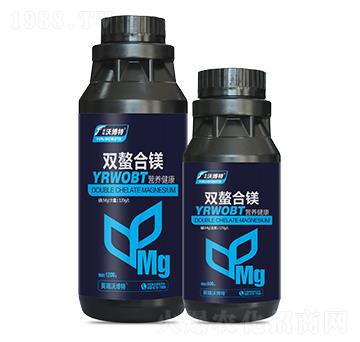 �p�����V-Ӣ���ֲ���