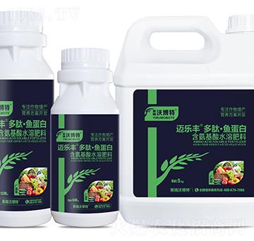 �V�V�Ͷ��ġ��~����-�~���S-Ӣ���ֲ���