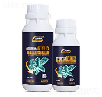 ֲ�￹������Һ-Ӣ���ֲ���