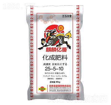 ���ɷ���25-5-10-����|��-ס������