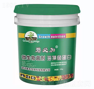 ΢������������~(y��)����-�̱ؼ�-�κ�����