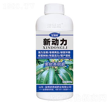 �����B(y��ng)���-��(d��ng)��-�Z