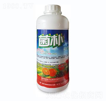 �~���׺������~���-���a(b��)-��ɫ����