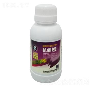100ml含腐植酸水溶肥料-抗倒1號(hào)-養(yǎng)正