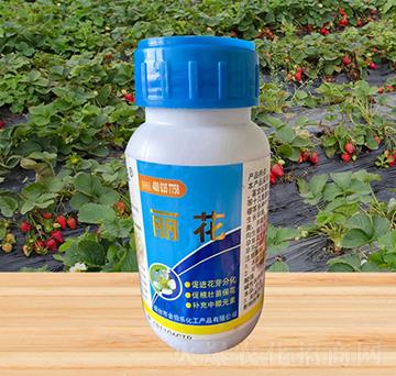 麗花-金伯樂(lè)