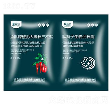 �~������������L(zh��ng)������