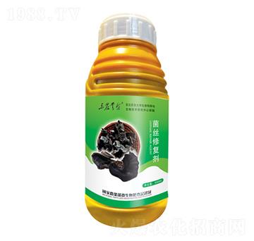 ���z�ޏ�(f��)��-���_(t��i)