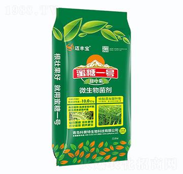 蜜糖一號(hào)-邁豐寶-科普特