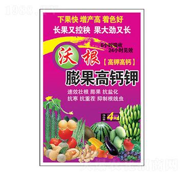 �ָ�������}�-�����_(d��)