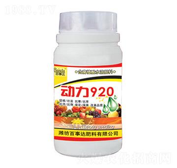 ����920-�����_(d��)