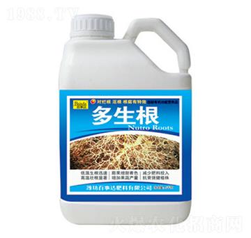 ������-�����_