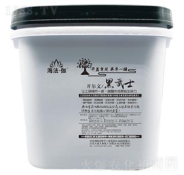 開爾文黑武士-海法·伽